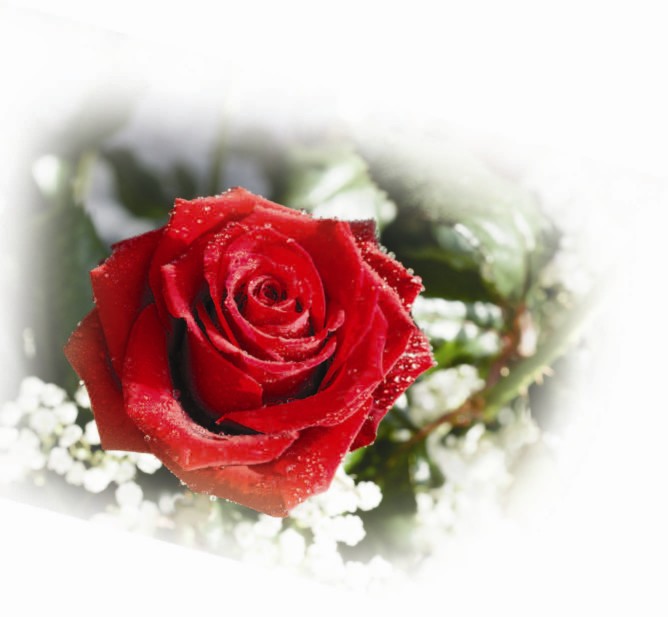 ������ ���� ������ �� ���� ������